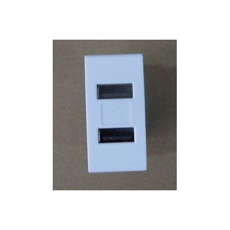 PRESA 2 USB COMPATIBILE LIVING LIGHT