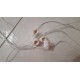 Portalampade E 14 con cavo 20 cm