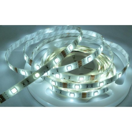 STRIP LED 50X50 60 LED/MT 14,4W MT. 5