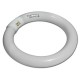 CIRCOLINA FLUORESCENTE COMPATTA 22W/32W/40W