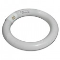 CIRCOLINA FLUORESCENTE COMPATTA 22W/32W/40W