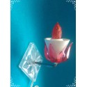 LUCCIOLA BRACCETTO  A NEON CON CAVO E SPINA 230V.